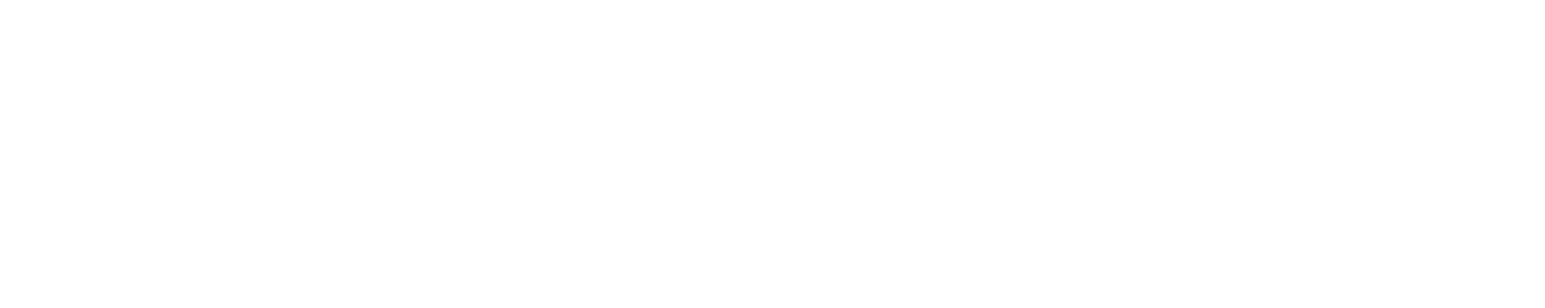 Main Logo